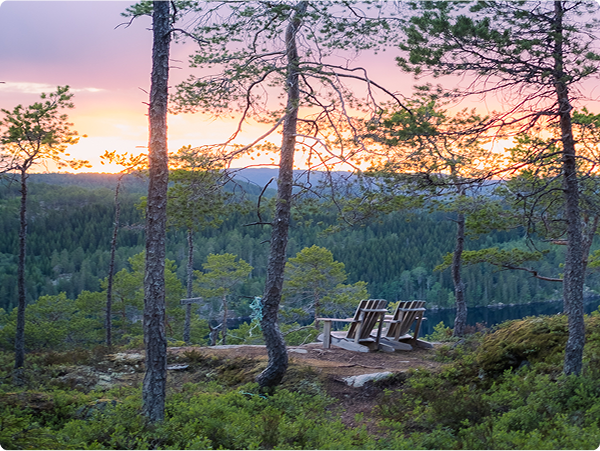 Eleve a experiência