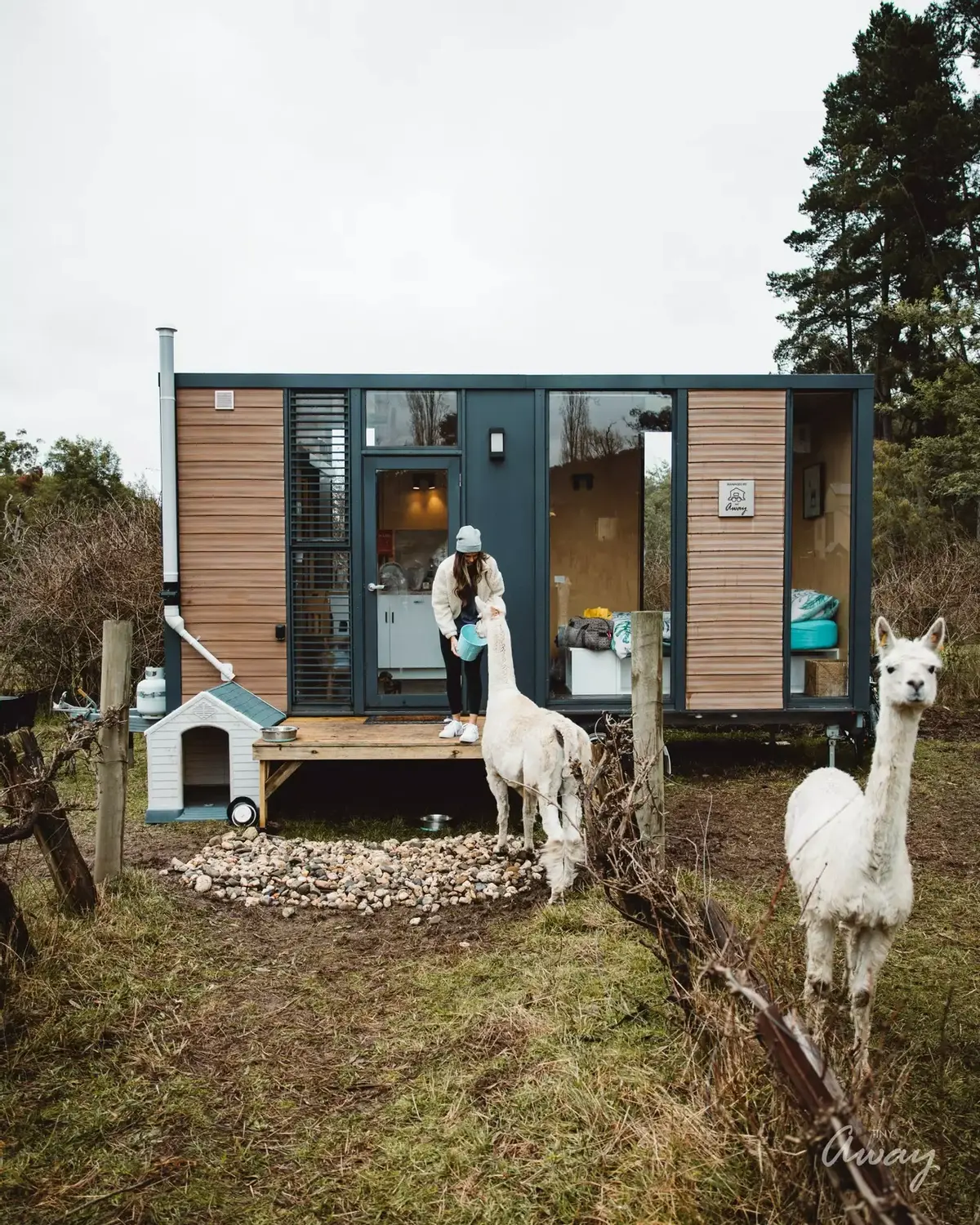 Alpaca Tiny House