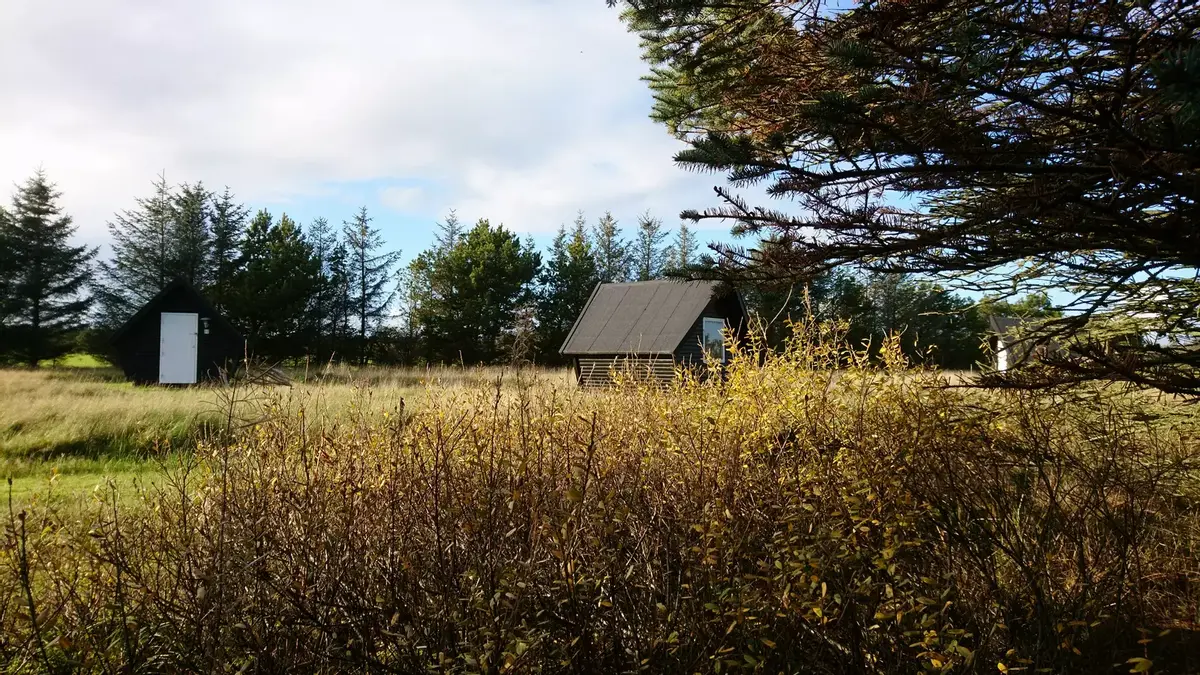 Blokhus Natur Camping - en anderledes camping oplevelse.