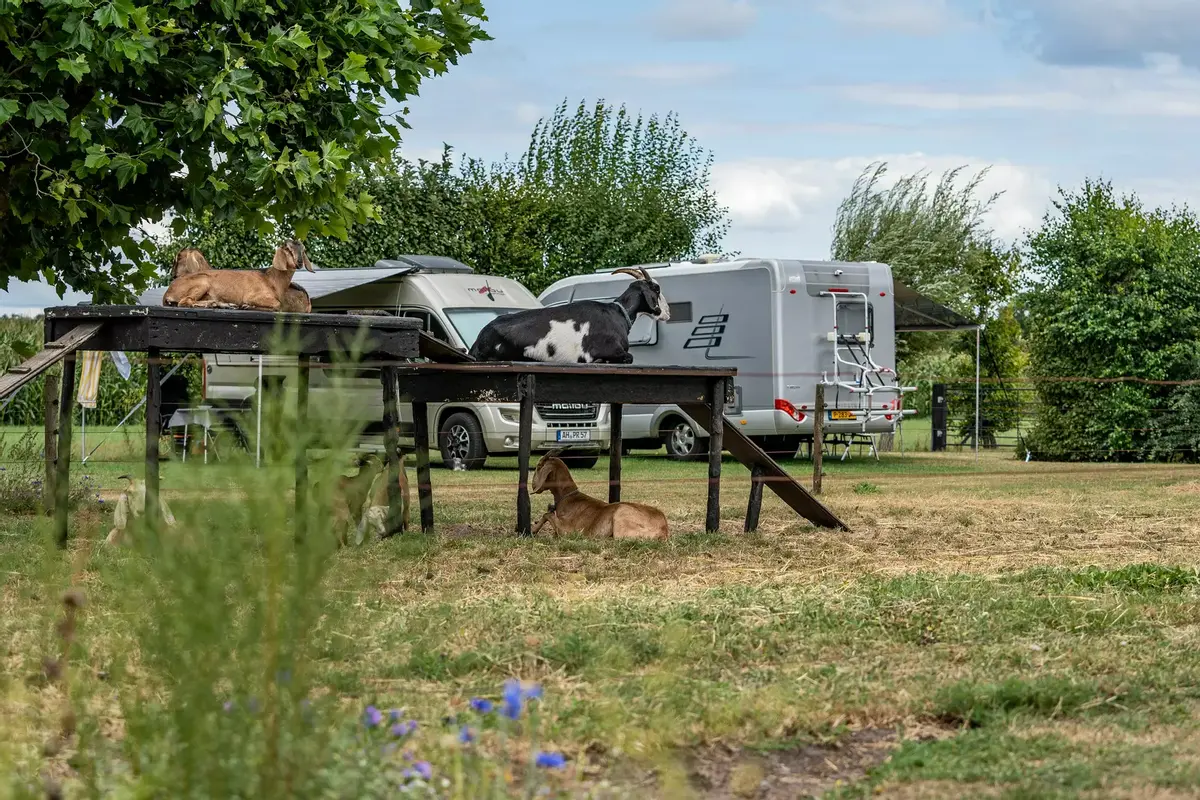 Boerderijcamping Varsenerveld