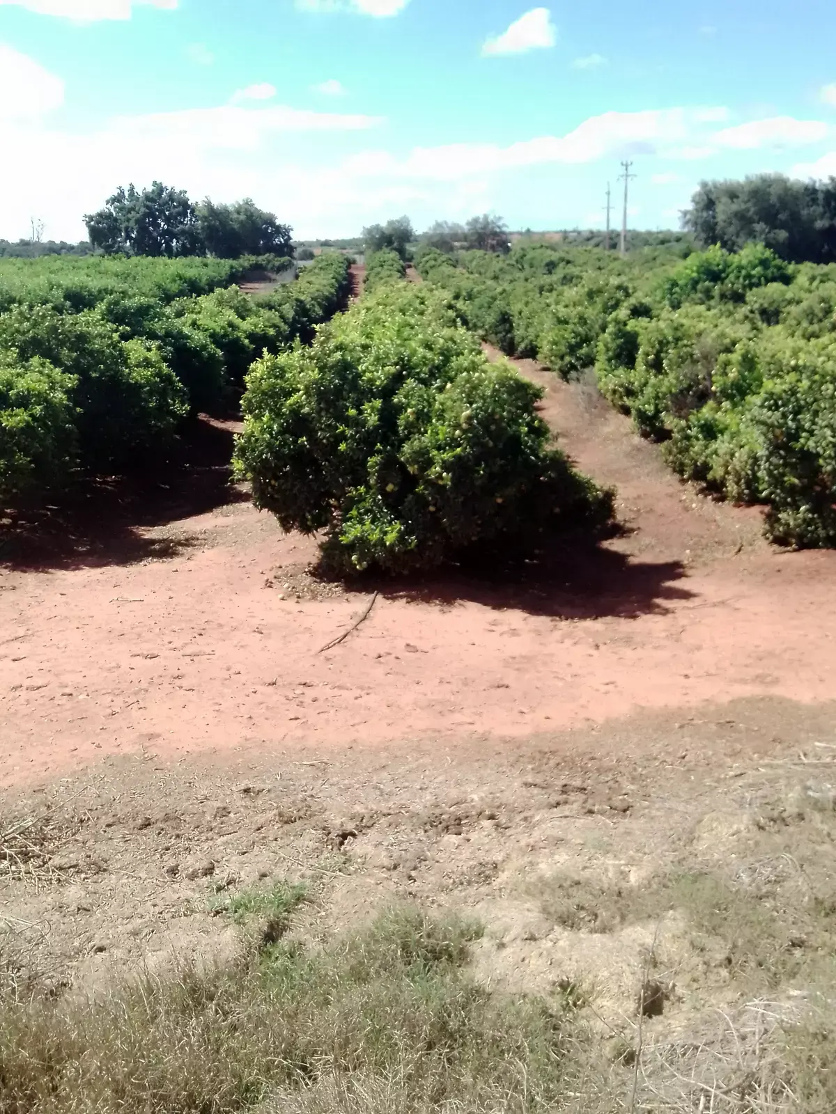 Quinta do Quévin