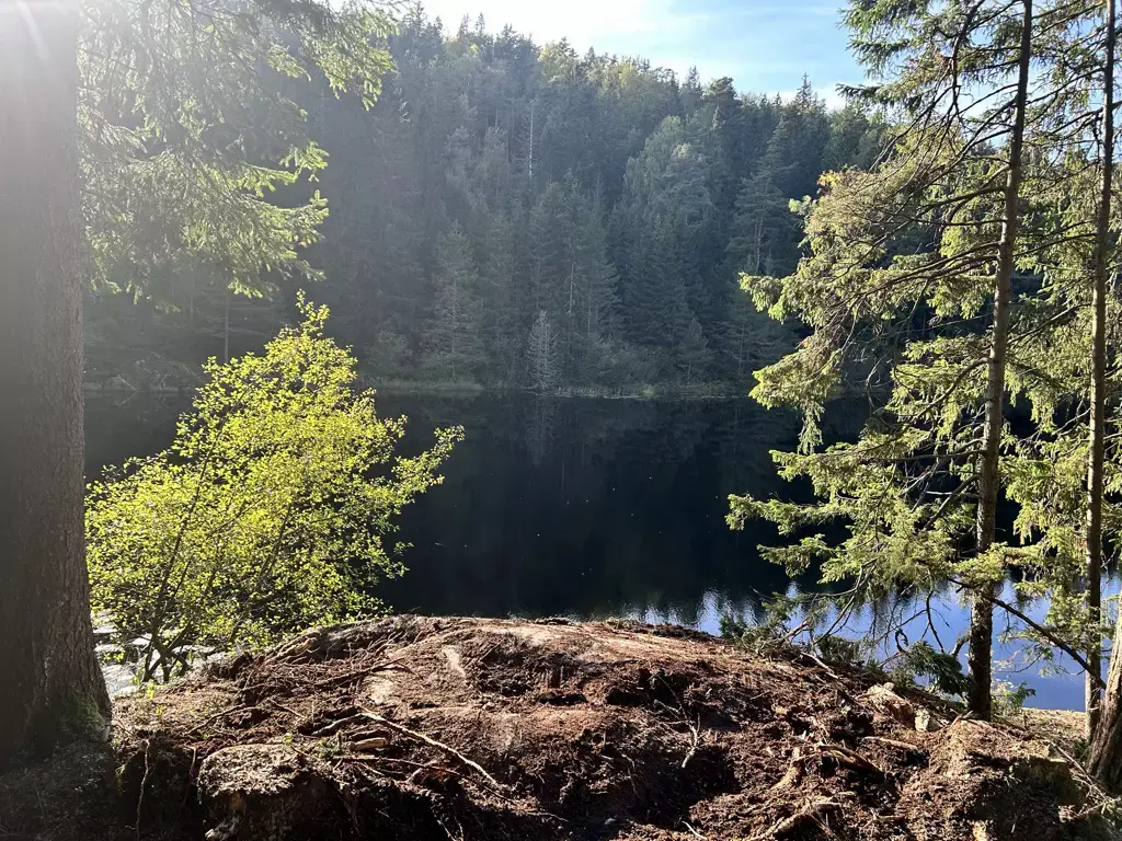 Utsikten over Sperillen