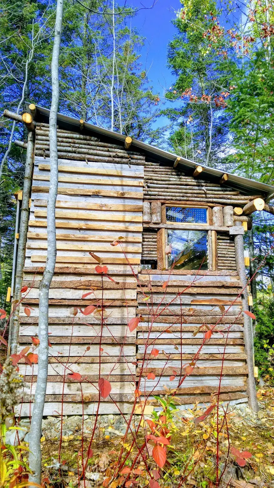 Off-grid cabin in the forest 