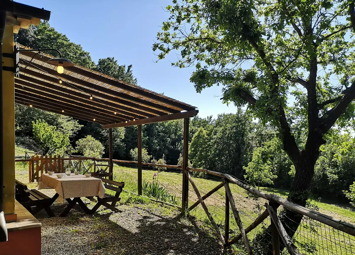 Agriturismo Fattoria La Prugnola