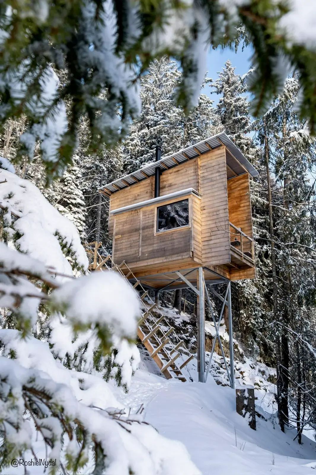 LAUV Treetop cabins and experiences