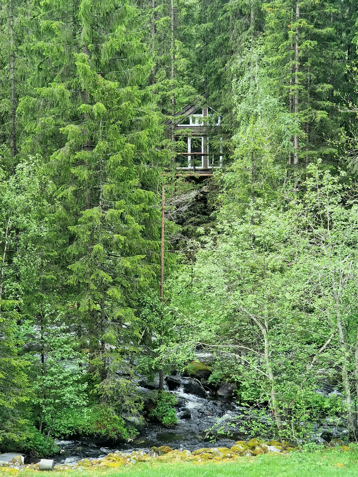 Tretopphytte i Lårdal - Naturens Eget Familieparadis med dyr og natur tett på