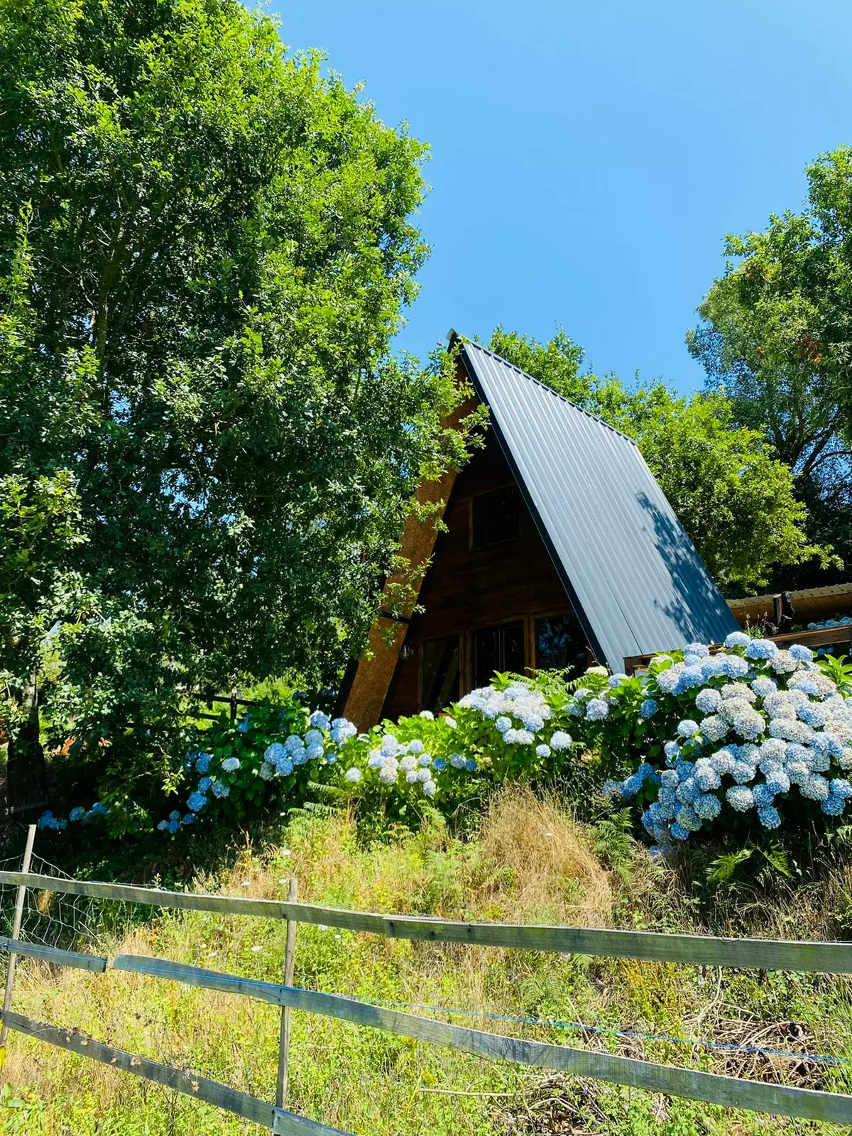 Vale da Silva Villas