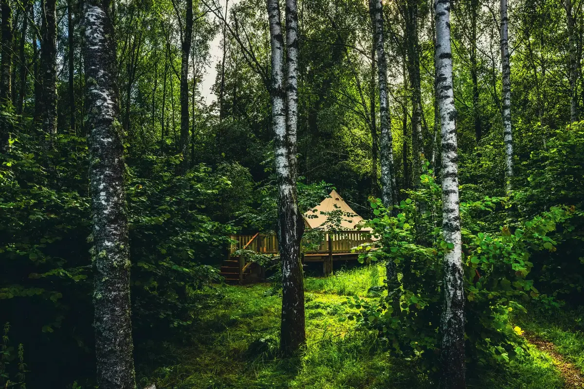Bjarkagård glamping