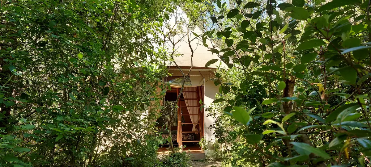 Epanchoir de foucaud