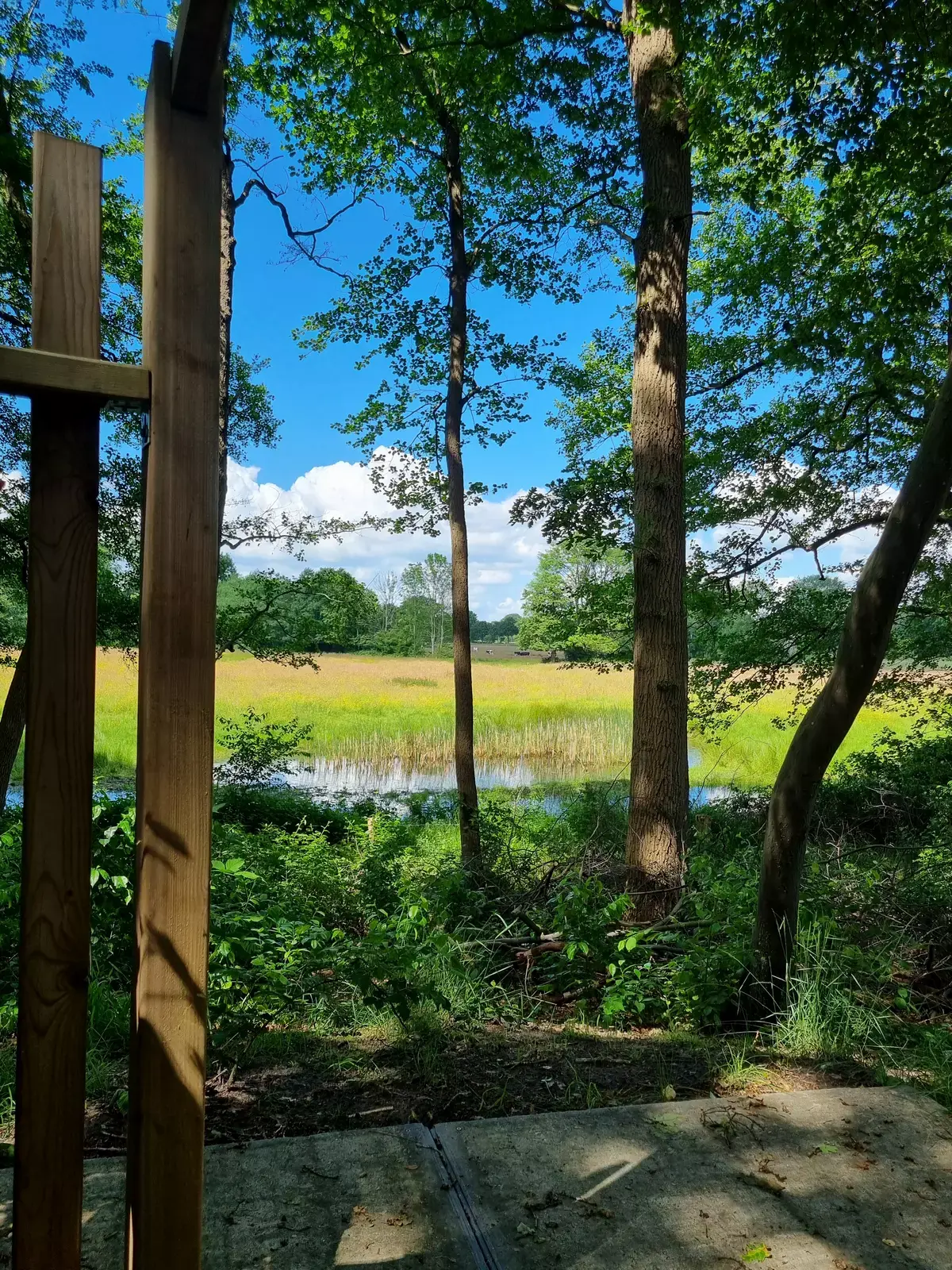 Vechtdalchalets Giethmen, nabij Ommen