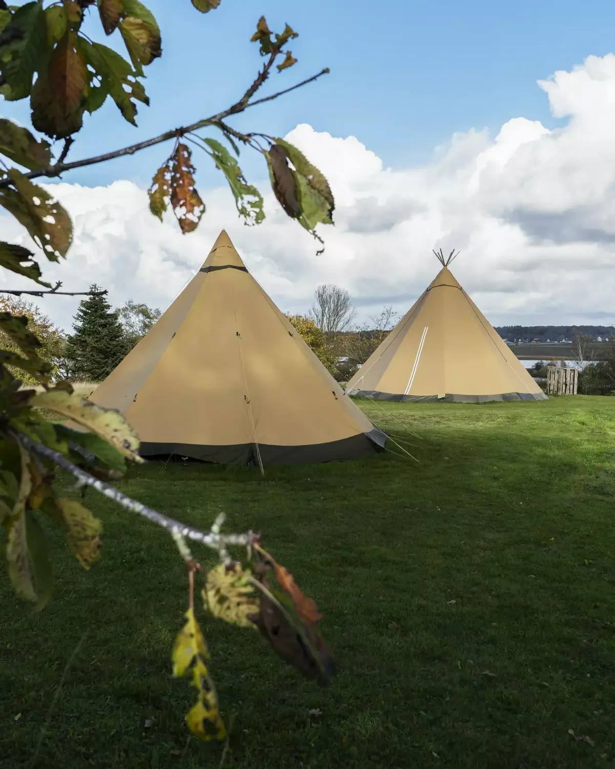 Haldbjerg Naturcampus