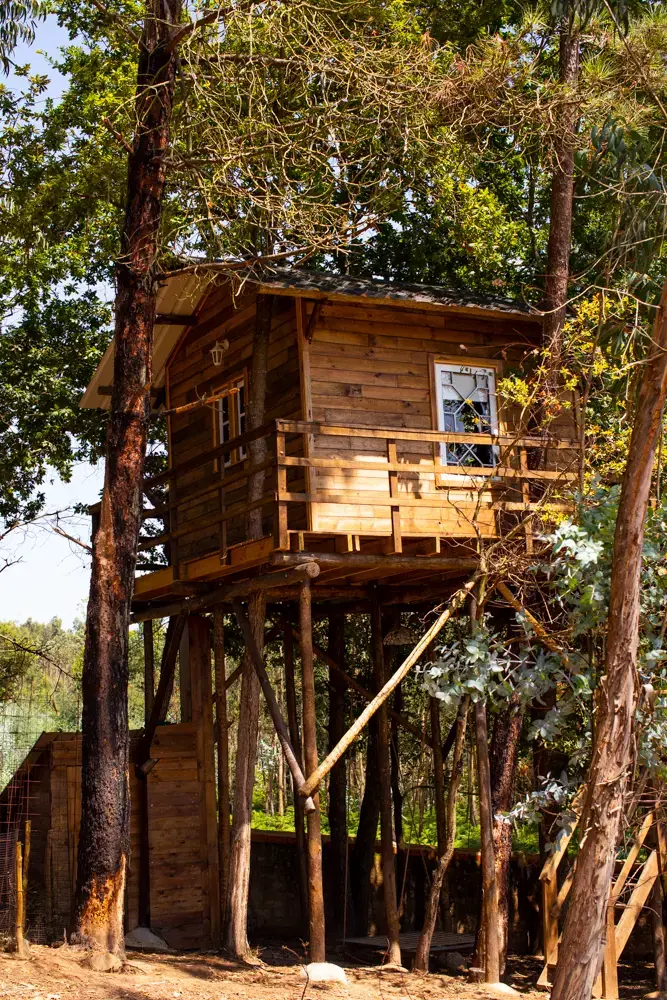 Casa da Árvore Alameda - Vale da SIlva Villas