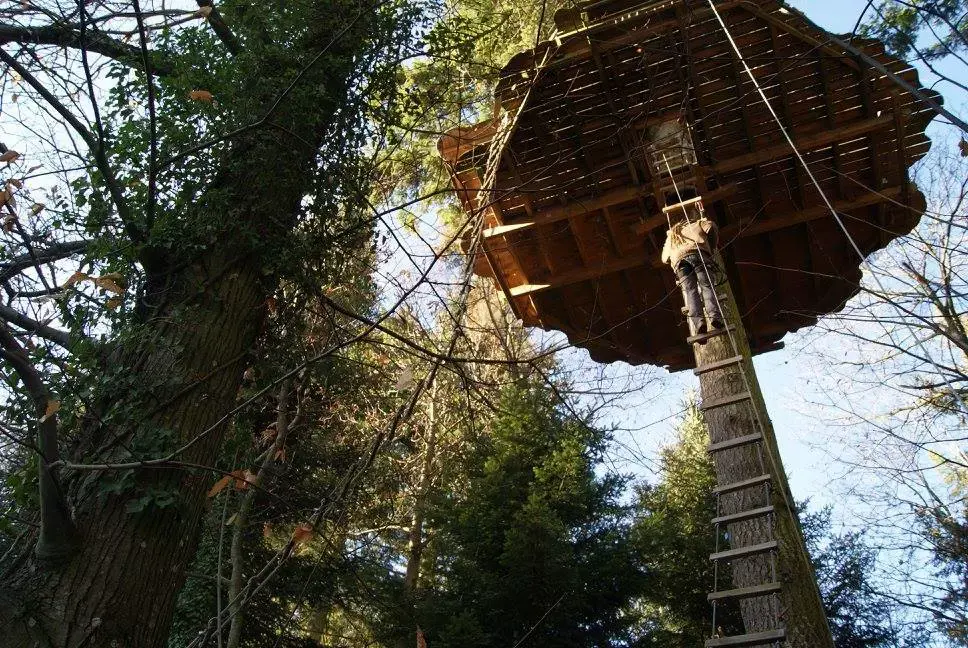 Les Cabanes de Labrousse - Cabanes perchées dans les arbres en Ardèche
