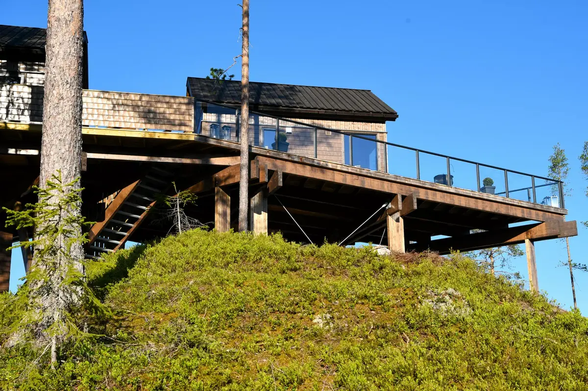 Fosstopp tretopphytter