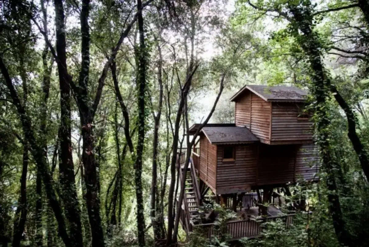 Orion Treehouses